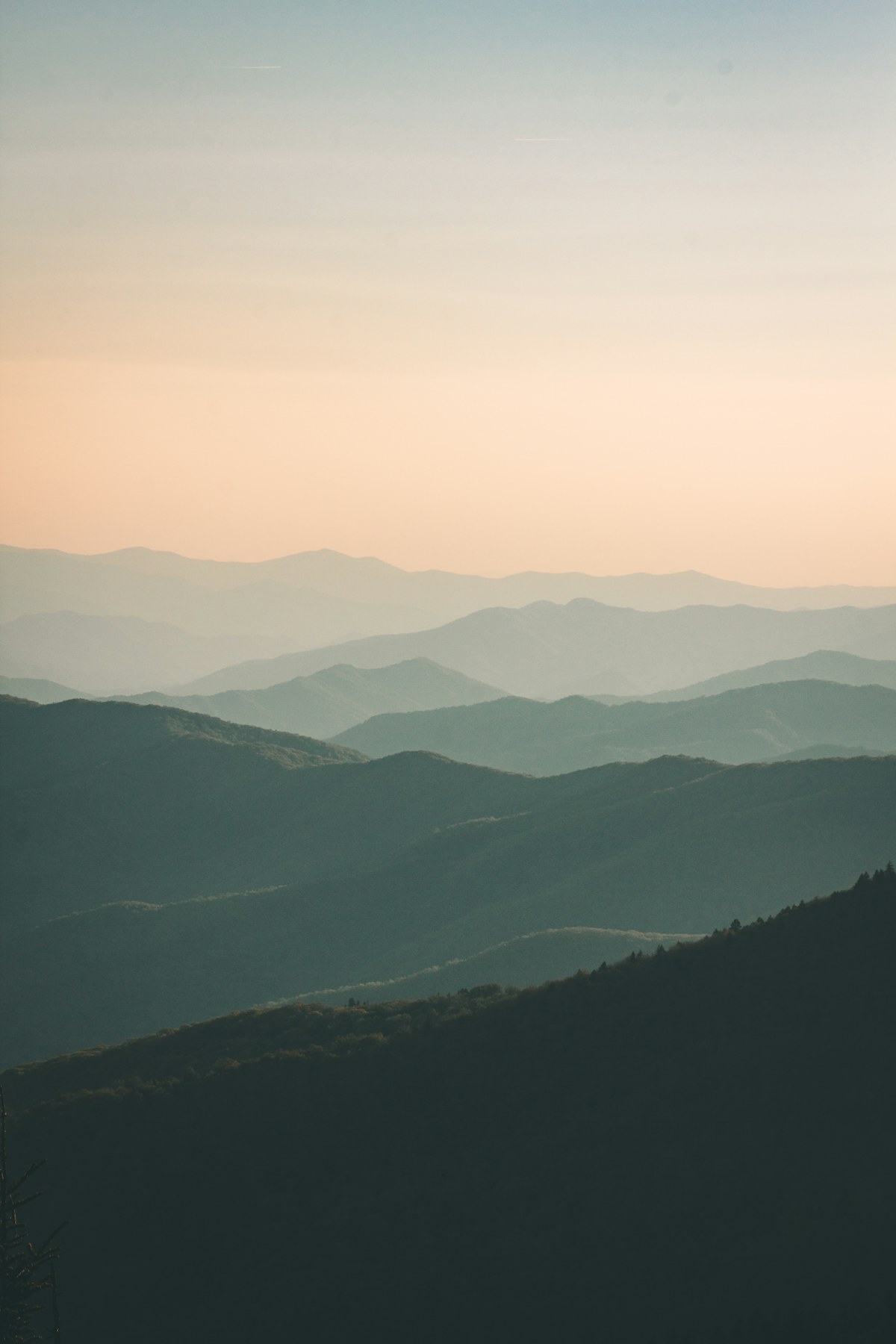 影视娱乐和明星写真入口整理